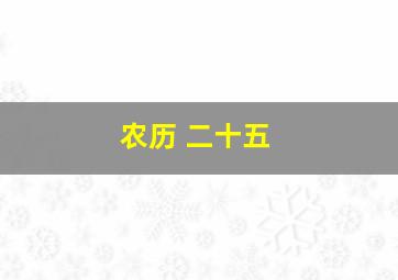 农历 二十五